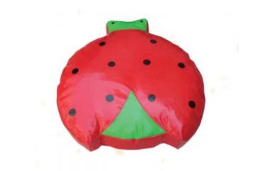 BD-18548 UĞUR BÖCEĞİ MİNDER