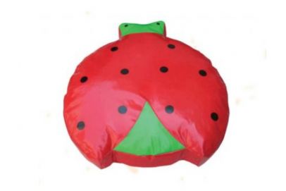 BD-18548 UĞUR BÖCEĞİ MİNDER